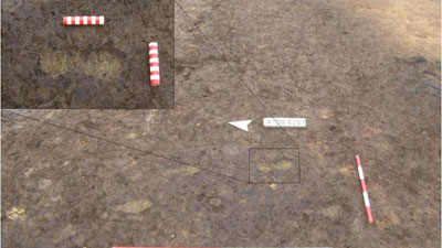 Roman child's footprints uncovered at A1 road widening